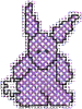Bunny #7